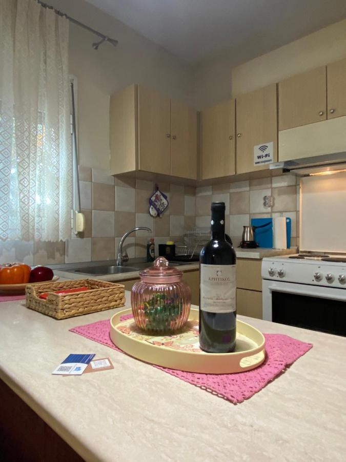 Cozy And Quiet Mini City Apartment Трикала Экстерьер фото